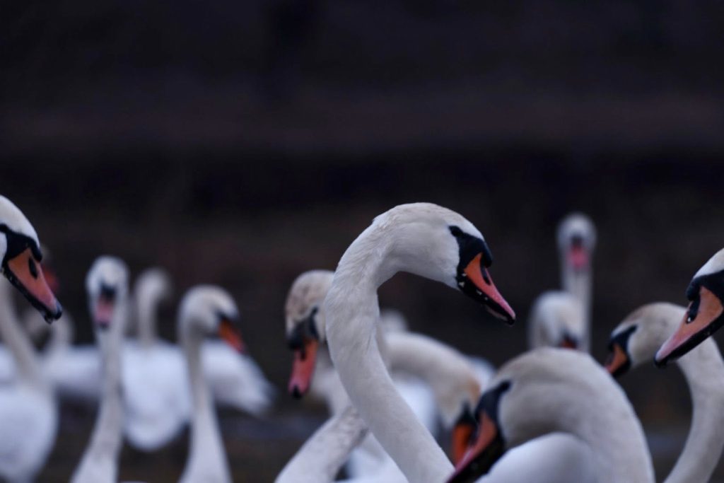 628501441 25750916544558510 4604095779874417289 n